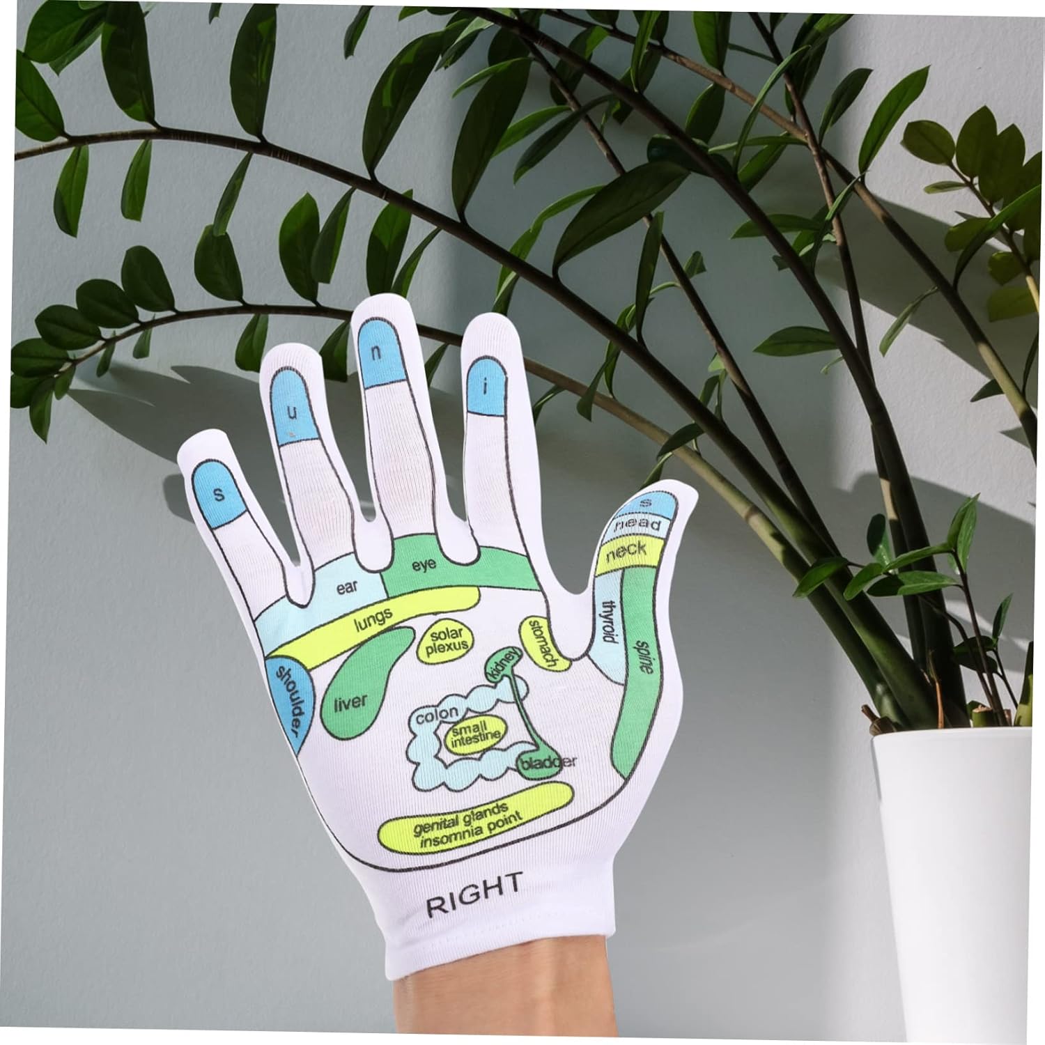 Homoyoyo Reflexology Gloves with Pressure Points