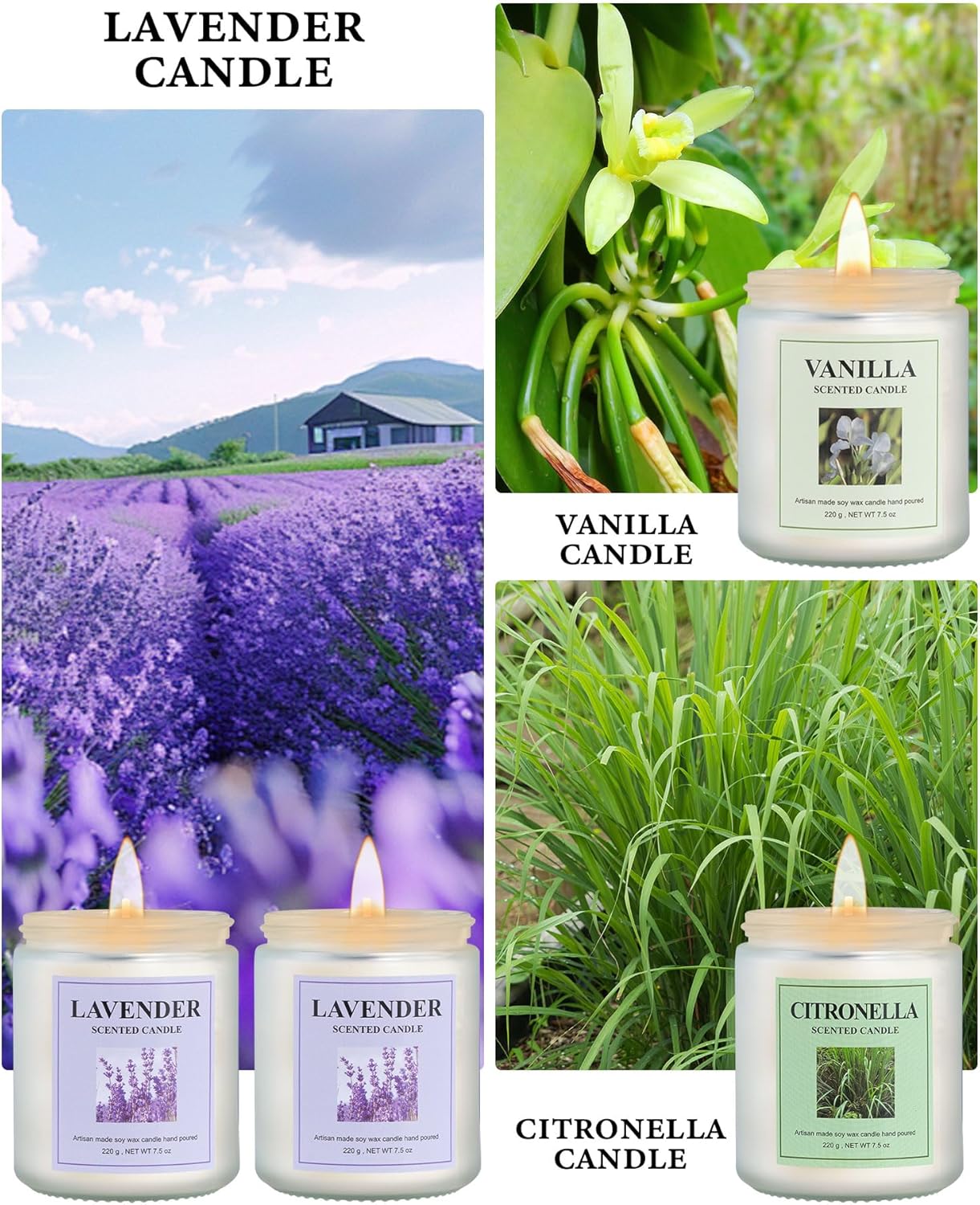 Lavender Sage Citronella Aromatherapy Candle Set 4 Pack