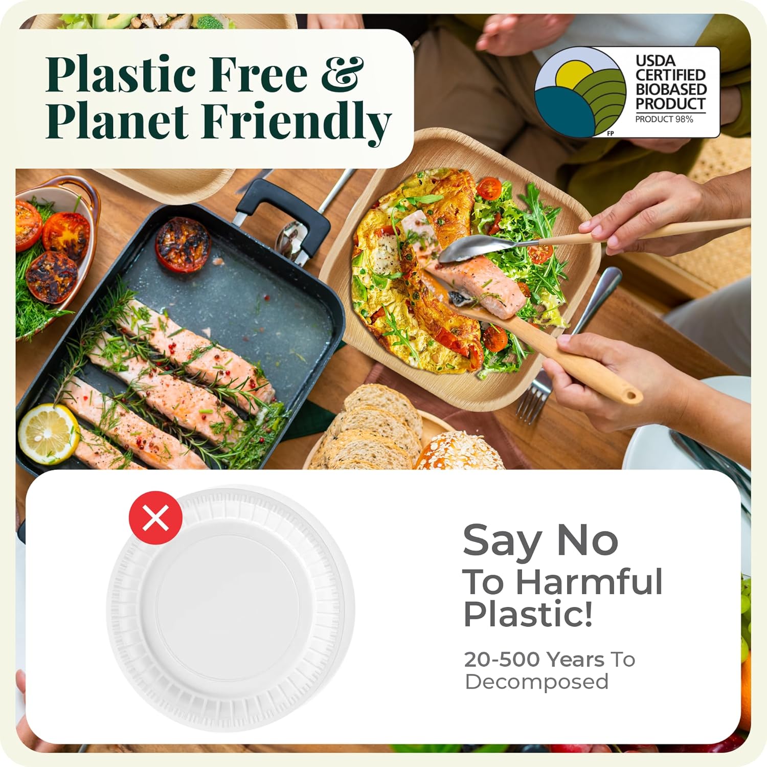 Koala Love Bamboo Paper Plates 10 Inch 7 Inch Eco Compostable