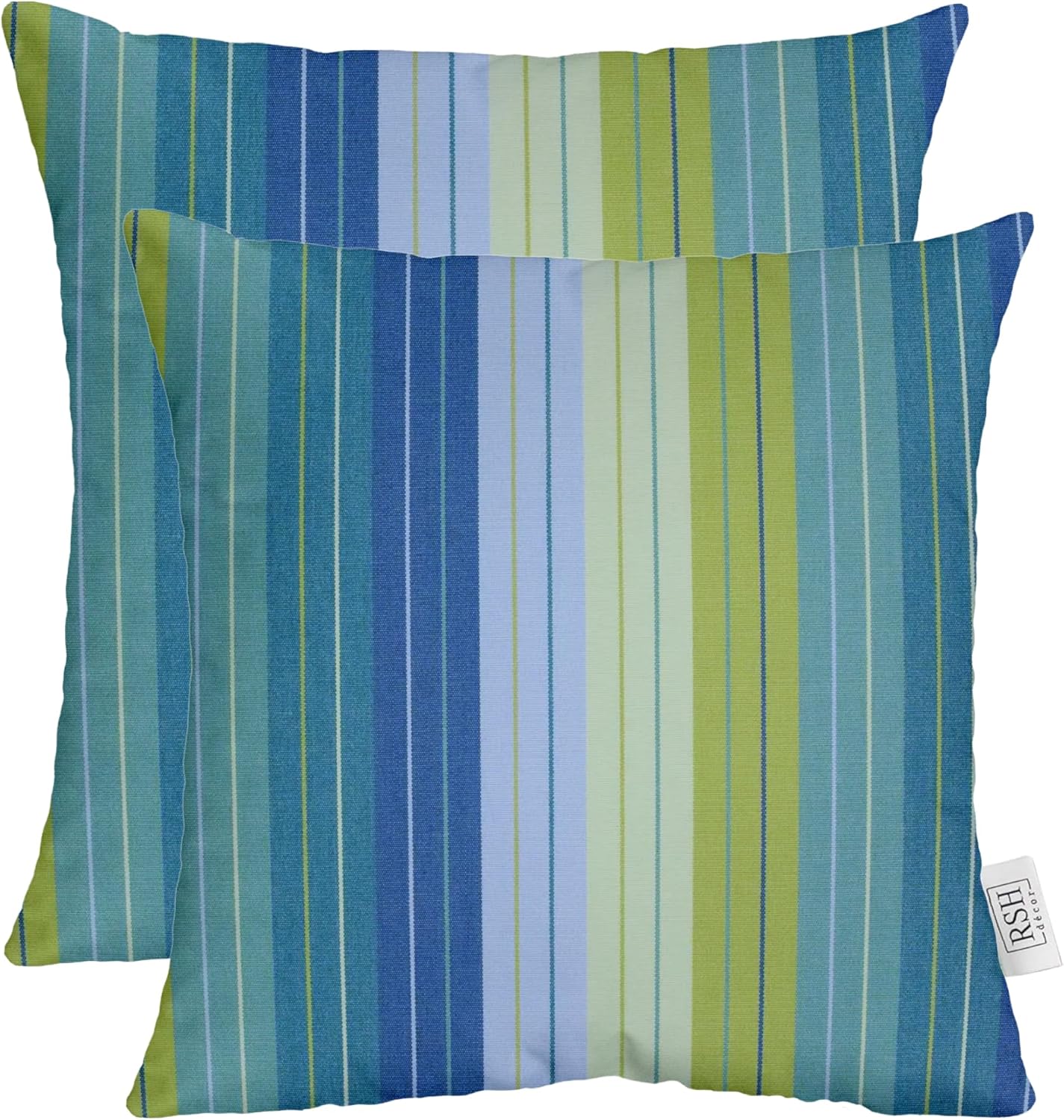 RSH Decor Sunbrella Square Throw Pillow Set of 2 24x24