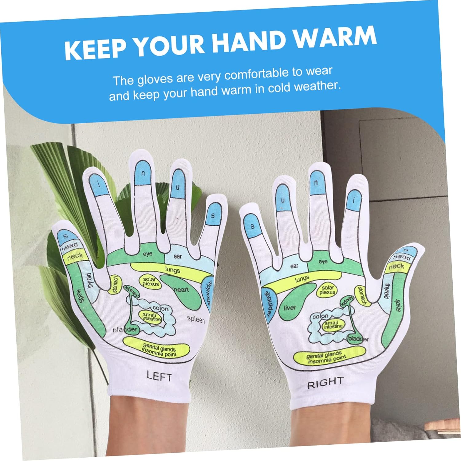 Homoyoyo Reflexology Gloves with Pressure Points