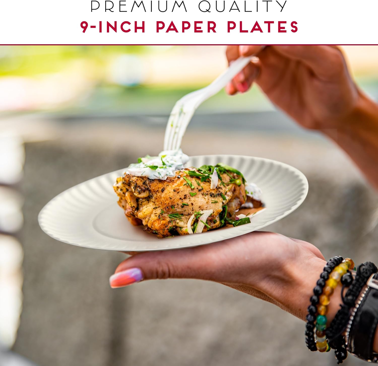 Alitte 9-Inch Disposable Paper Plates 500 Count Bulk Pack
