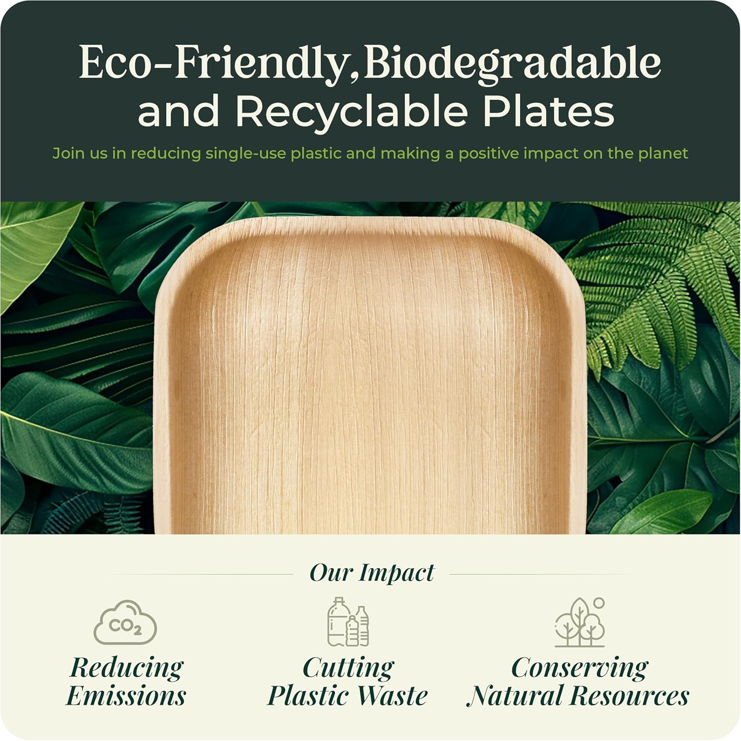 Koala Love Bamboo Paper Plates 10 Inch 7 Inch Eco Compostable