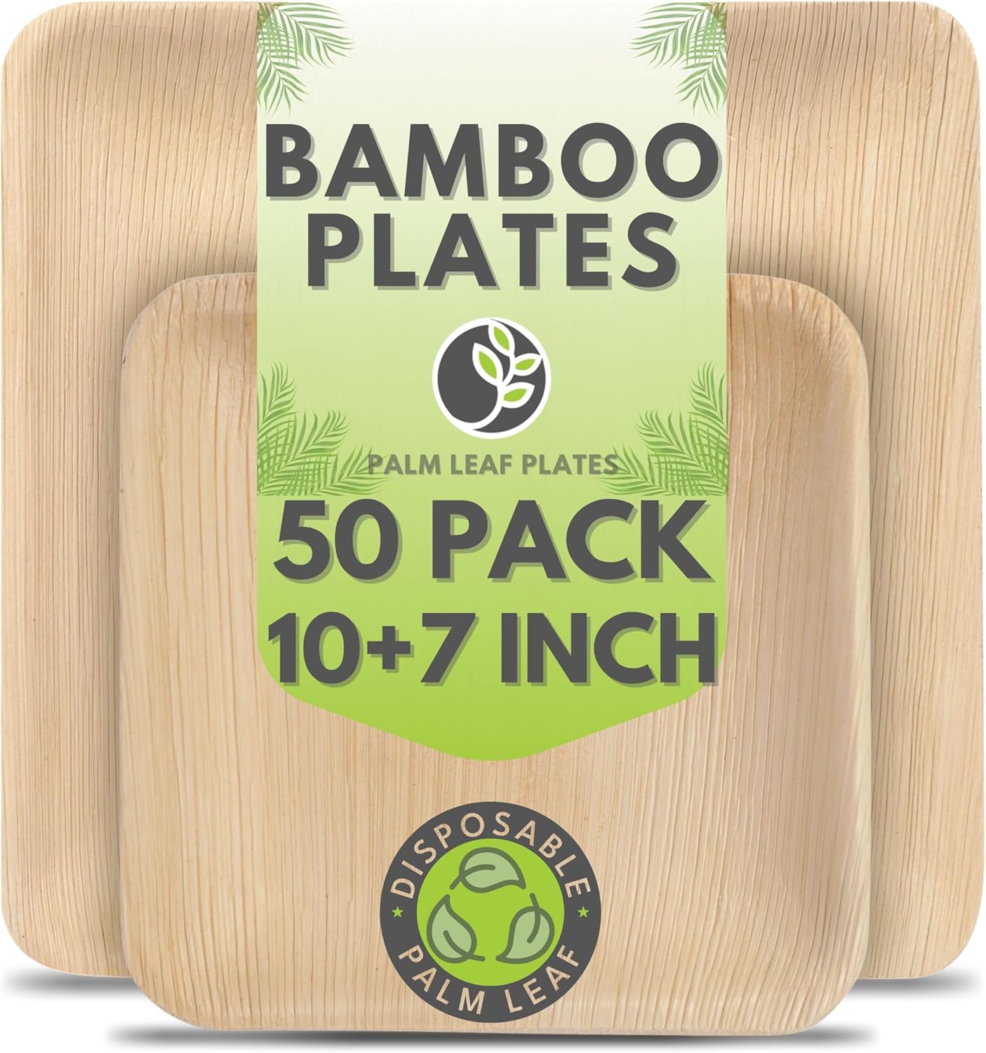Naturally Chic Palm Leaf Plates 50-Pack 10 7 Inch Square
