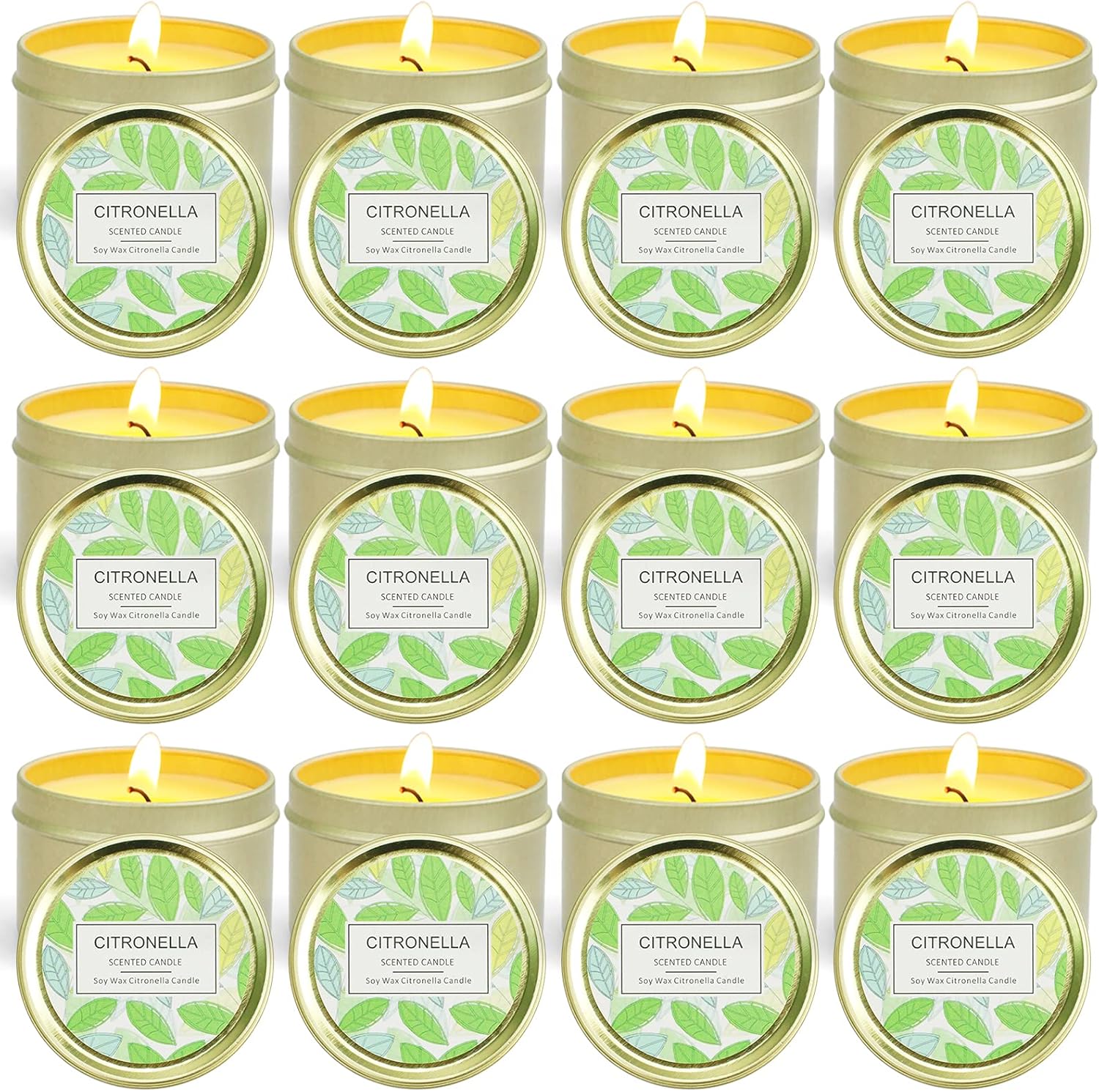 STRN Citronella Scented Candles Outdoor 12 Pack